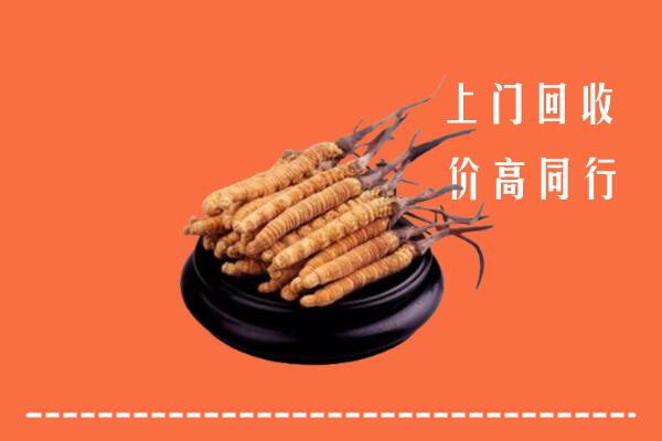 高价求购：边坝县回收散虫草